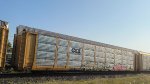 CSXT 01123 (Body) TTGX 996035 (Flat)